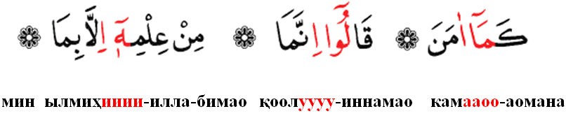 Сукун в арабском